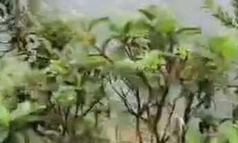 Imagem 7: Fazenda MG Bonfinópolis