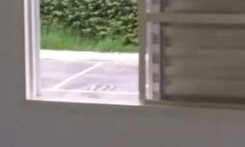 Imagem 2: Alugo apartamento em Caieiras ( morro grande