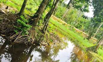 Imagem 2: 1.600m2(20x80) Documentado. EntradaR$10mil 07km no ramal do janauari-Iranduba. Leia