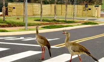 Imagem: Lote/Terreno para venda possui 482 metros