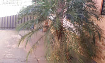 Imagem 4: Alugo casa no bairro São Francisco tratar com