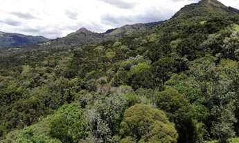 Imagem 4: Sitio em Urubici/chácara em Urubici
