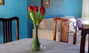 Imagem 3: SãO LEOPOLDO - Casa Padrão - São leopoldo