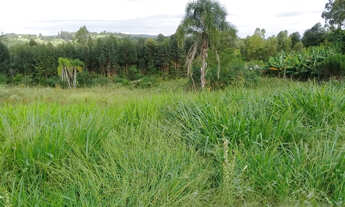 Imagem 2: Sítio de 6,5 hectares escriturado nas Laranjeiras em Osório