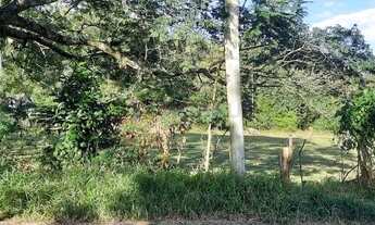 Imagem 5: Terreno à venda, Ermo - Guaíba/RS