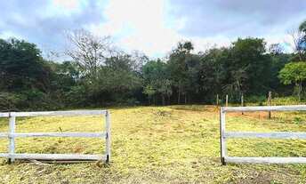 Imagem 2: PARCELO DIRETO ESTA CHÁCARA COM RIACHO A 1 KM DA RS020