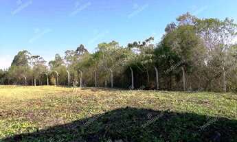 Imagem 7: Excelente Chácara Sem Benfeitorias