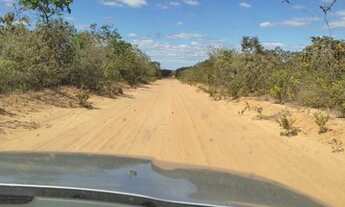 Imagem 5: Vendo excelente área de terras fazenda Almécegas- Bonito