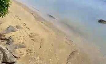 Imagem: Terreno excelente, frente mar, praia privativa