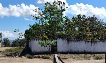 Imagem 3: Terreno alter do chão