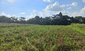 Imagem 6: Lote/Terreno para venda possui 600 metros quadrados em Jardim Helena - Carapicuíba - SP