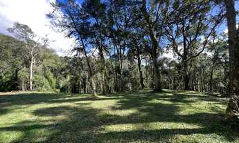 Imagem 6: Sítio a venda em Urubici/chácara a venda em Urubici