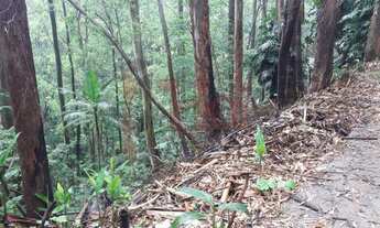 Imagem 3: Terreno à Venda no Tucuruvi com 3.351 m²