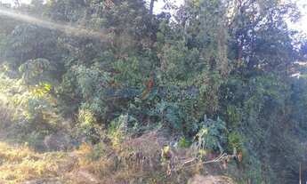 Imagem 4: Terreno - Recanto Campestre Internacional de Viracopos Gleba 6 - Indaiatuba