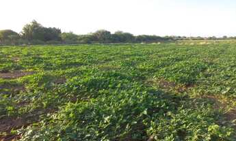 Imagem 6: Venda de lote agrícola telefone
