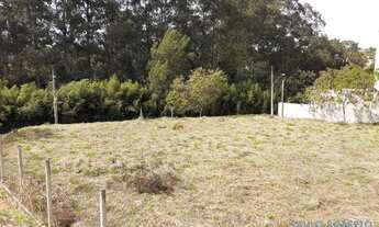 Imagem 3: TERRENO - ALPHAVILLE - SP