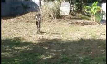 Imagem 6: Terreno 450²m Terreno / lote com venda por R$150.000