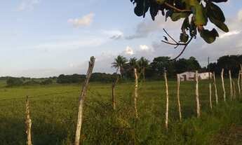 Imagem 5: Terreno Terreno / lote com venda por R$15.000