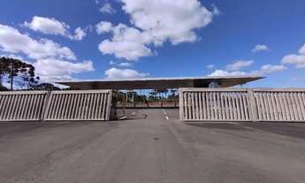 Imagem 2: Lote, Industrial, Linha Palmeiro