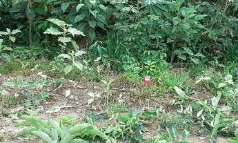 Imagem 2: Terreno 20x50 no Rio Preto da Eva