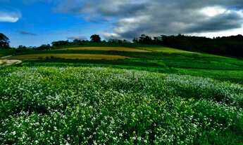 Imagem 4: 14-o Terreno em otima região
