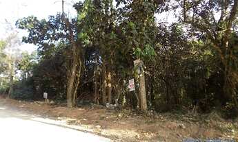 Imagem 3: TERRENO - JARDIM PIONEIRA - SP