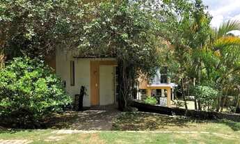 Imagem 6: Casa Ampla e Confortável, Bem Iluminada e Arejada, 4 Suítes, Lareira, Amplos Jardins e Áre