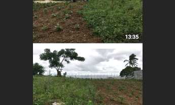 Imagem: Lotes em Serra de São Bento RN