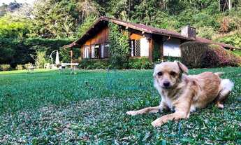 Imagem: SÍTIO DOS ANJINHOS - Terreno com 8.115