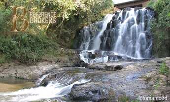 Imagem 4: Fazenda no ramo de laticínios na região de Cerqueira César, interior de São Paulo