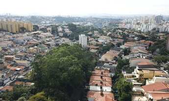 Imagem 3: São Paulo - Casa Padrão - Morumbi