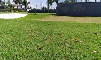 Imagem 3: DIO34.Green Club. Lotes s/ burocracia e consulta SPC/SERASA