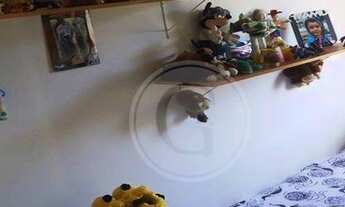 Imagem 5: Butantã! Apartamento residencial à venda, Butantã, São Paulo - AP0355