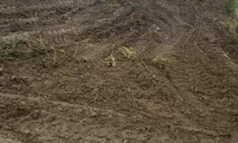 Imagem 3: Chácara a venda com 2 hectares em Cocalzinho Condomínio Parque das Águas