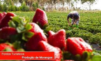 Imagem 7: Terreno à venda 32000M², Jardim Brogotá, Atibaia - SP