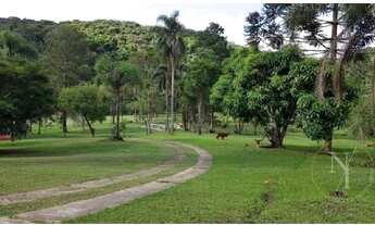 Imagem 2: São Lourenço da Serra - Conjunto Comercial/Sala - Bairro Aldeinha