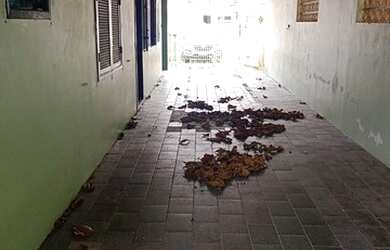 Imagem 8: Pontal do Paraná - Casa Padrão - Balneário Praia de Leste