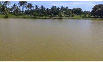 Imagem 2: VENDO ILHA EM PIAÇABUÇU