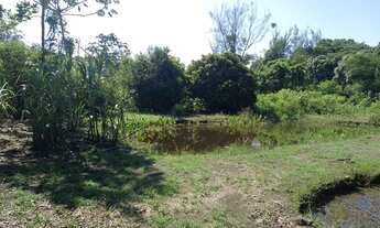 Imagem 5: Vendo Sítio Guapimirim