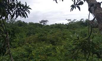 Imagem 2: Venda de propriedade