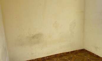 Imagem 6: Aluga-se Casa com 2 dormitórios