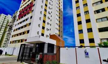 Imagem 7: Terras brasilis ((