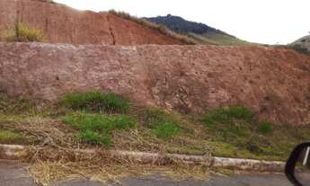 Imagem 2: Lote em rio pomba