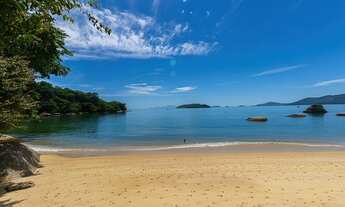 Imagem: Um refúgio exuberante e isolado em meio