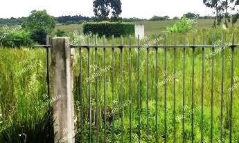 Imagem 2: Excelente Chácara Sem Benfeitorias