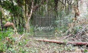 Imagem 7: Fazenda para Venda em Tunas do Paraná com nascente as margens da Estrada da Ribeira