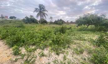 Imagem 2: Terreno em Jacuma