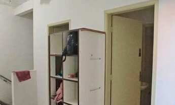 Imagem 7: LOJA - SANTO AMARO - SP