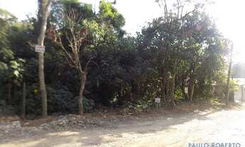 Imagem 6: TERRENO - JARDIM PIONEIRA - SP