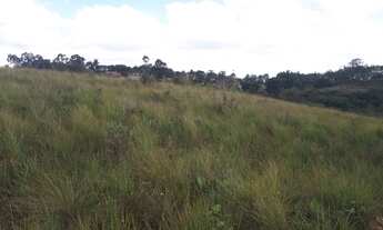 Imagem 5: VENDE SE 13ALQUEIRES EM MAIRINQUE